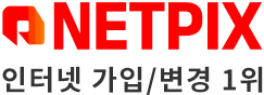 넷픽스